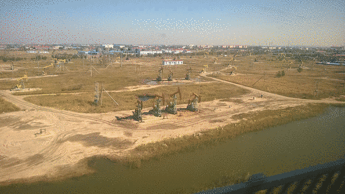 ����Ŀ�ͷ��