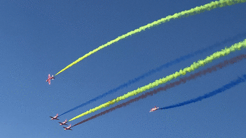 ��ӥ˫������