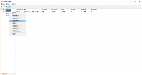 RD��Ȩ������