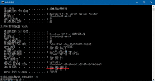�鿴DNS������